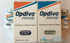 ŷ����(Opdivo)�����Ʒ�Сϸ���ΰ�ʱ��ô�ã���ʲôע�����