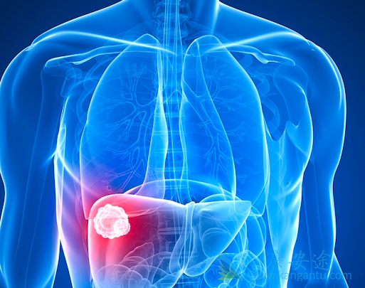 ���ڸ�ϸ����