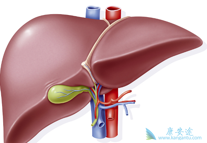 ��ϸ����