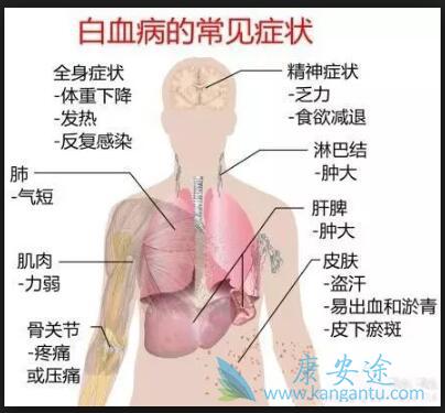 ��Ѫ��������֢״