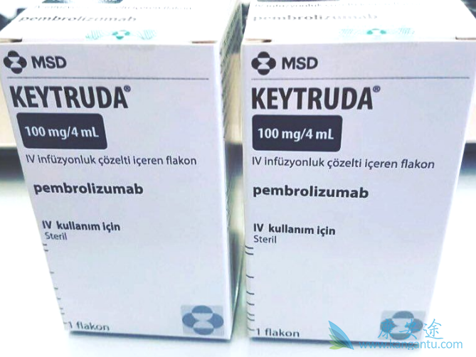 ��ϸ��������