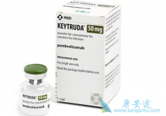 �κ�����ǰ��ͳ������PD-1ҩ��Keytruda�ڹ��ڻ�������
