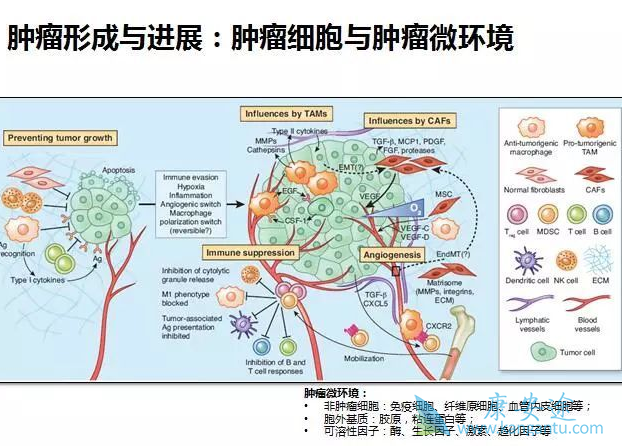 ����΢����