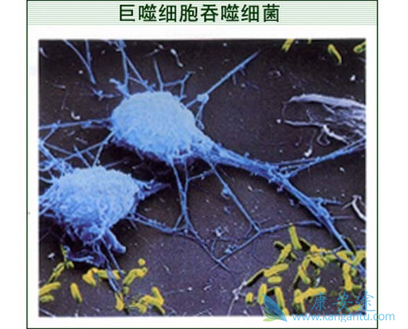 ����ϸ��