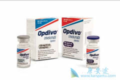 CTLA-4��PD-1���Ƽ������������ѳ�Ϊת���Ժ�ɫ������һ�����Ʒ���