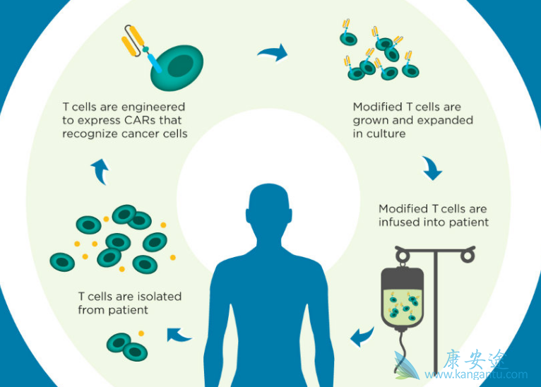 CAR-Tϸ���Ʒ�