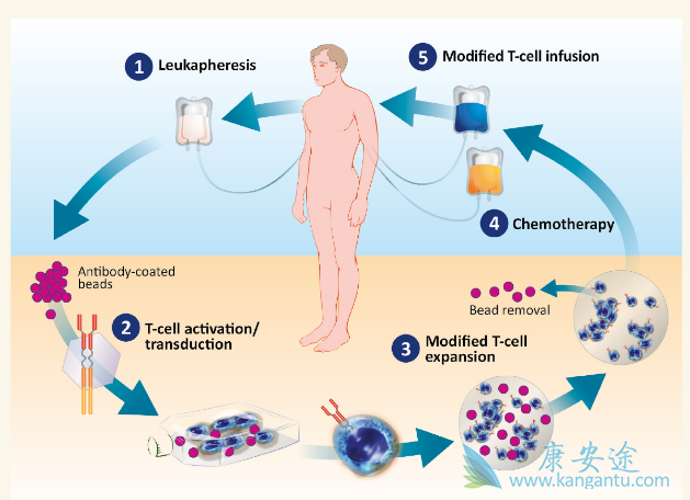 �����Ʒ�