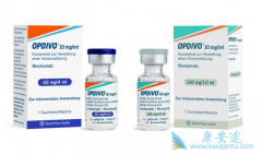 PD-1���Ƽ��ĳ��ָ������఩֢������������