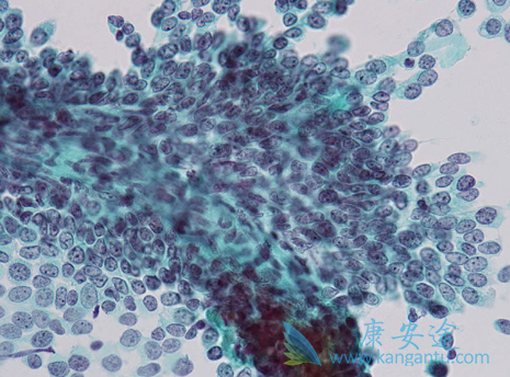 ��Ī¬����