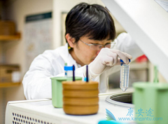 ʹ��CAR-T��Ʒ���Ƶ���ϸ�����ӷ籩��ԭ������Щ