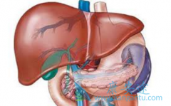 �ַ�����(Lenvima)�����ڼ仼��Ӧÿ�ռ��Ѫѹ