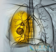 ӡ��������(crizalk)/�������������������ͻ��ķΰ�����