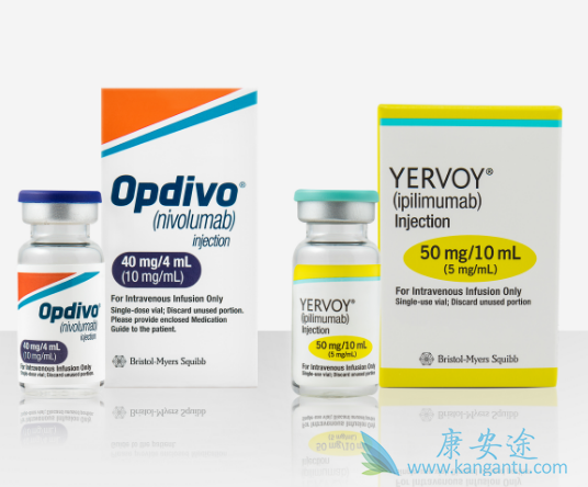 ���߼������Ƽ�