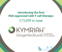 ����ϸ����������ļ��ĳ�̨�������Ҷ���CAR-Tϸ�����Ʒ�չ������