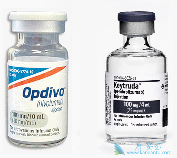 PD-1�����Ʒ�