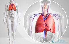 ��������(AFATINIB)��ŷ�޷�Сϸ���ΰ������г��ݶ��һ������