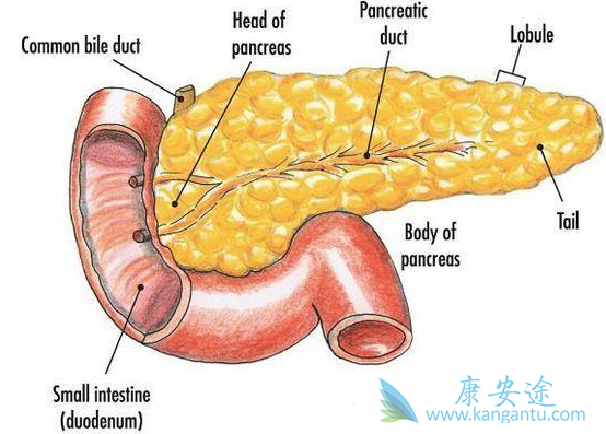 ���ٰ�������