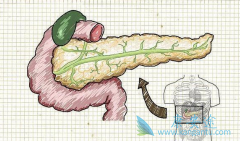 ͨ�����ٰ������ƺ��ߵ��������ж೤