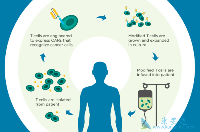 CAR-Tϸ��ҩ��