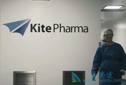 CAR-Tϸ���Ʒ�