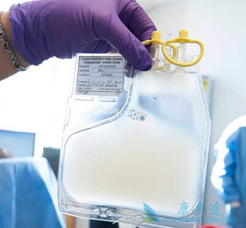 CAR-Tϸ������