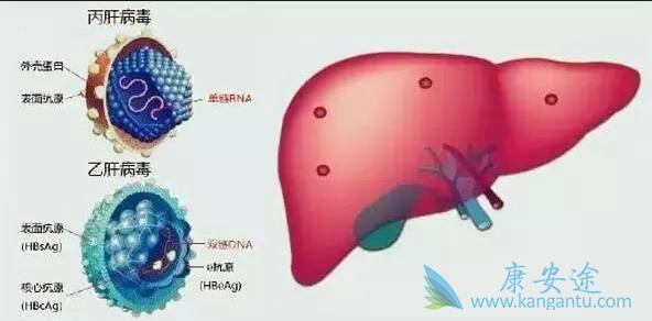 ���͸���