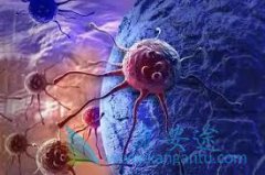 ǳ���������ƹ����е��������