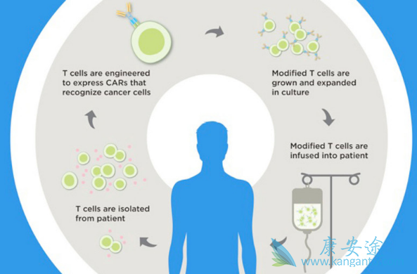 Ƕ�Ͽ�ԭ����Tϸ����������