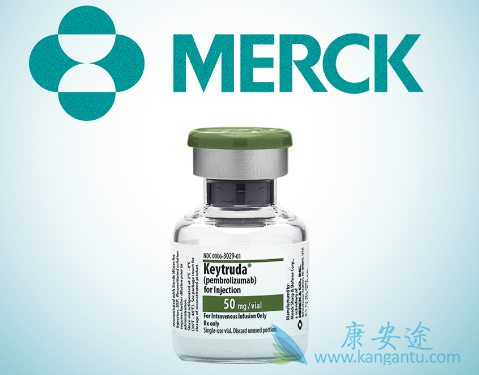 ����ϸ��