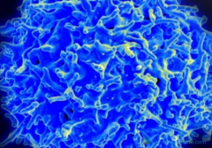 CAR-Tϸ�����ư�Ѫ���в��ô�����ָ���Ч�߶���С