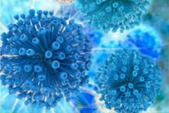 CAR-Tϸ������ɱ������ϸ���Ļ�����ʲô