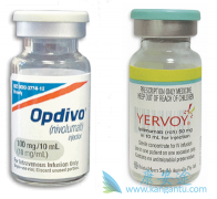 �ڹ������е�����PD-1����Keytruda��Opdivoѡ�ĸ��ȽϺã�