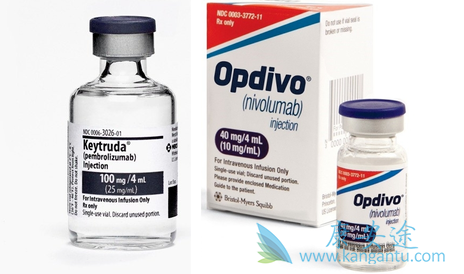 PD-1�������Ƽ�