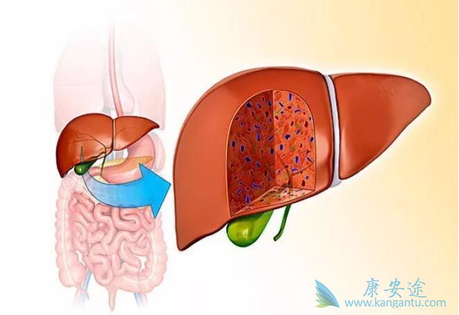 �Ҹκ��Ŀ���