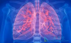 ӡ������ɳ/���������ڷΰ��������뻯���������ĸ����ø���