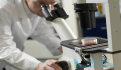 ������(Imatinib)���ϸ����ؿ���ʹCML���߸�����MMR��CMR