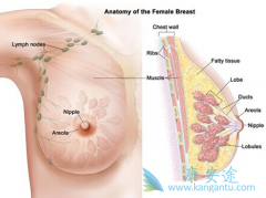 ��ɳ����(Sprycel)�����������������ٰ��޽�չ�����ڿɴ�20.1����