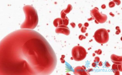 ��������(Bosutinib)����CML�����ز�����Ӧ���յ�������TKIs