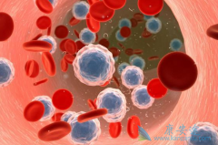 ��������(Bosulif)������Ph+������ϸ����Ѫ����һ����ҩ