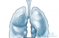 ��������(Gilotrif)���ӳ�������Ӧ���ӻ�������չ����������