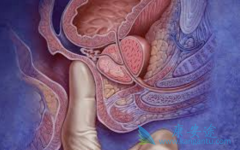 ��������(XBIRA)�Ͷ�����������������������mCRPC���нϺõİ�ȫ��