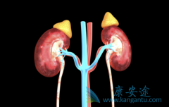 ��������(Sunitinib)�Ͱ��������ĸ�����ת����������Ч��