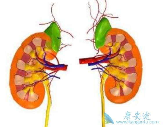 舒尼替尼 舒尼替尼