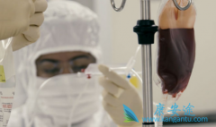 CAR-Tϸ�����Ƶ���ϸ���̣�CAR-Tϸ��������Ҫ��Щ���裿