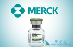 Ĭɳ������PD-1���Ƽ�Keytruda���ư�֢��Ч����ô����