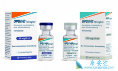 ��֢�����Ʒ�PD-1���Ƽ��и�������PD-1���Ƽ�������������