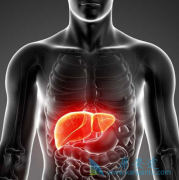 �༪��(SORAFENIB)Ӧ�ùᴩ�ڸΰ����Ƶ���������