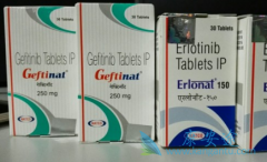 ��ȫ�г���NSCLC����ʹ�ü�������(GEFINAT)�������������ֲ�����