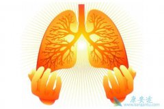 �ΰ����ڵ�����ԭ�򼰻��Ƶĸ����ý���