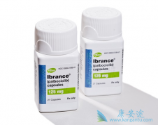 ��������ȫ���׸�CDK4/6ѡ�������Ƽ������£��߰��������ڹ�������